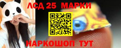 меф Гатчина