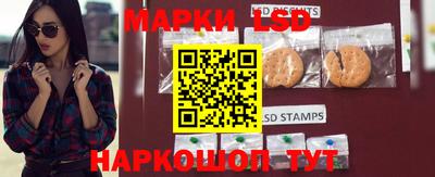 меф Гатчина