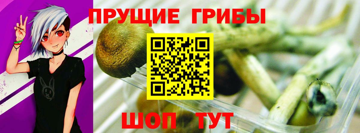 Бутурлиновка  Псилоцибиновые грибы мухоморы  где купить наркоту  Вход с VPN 