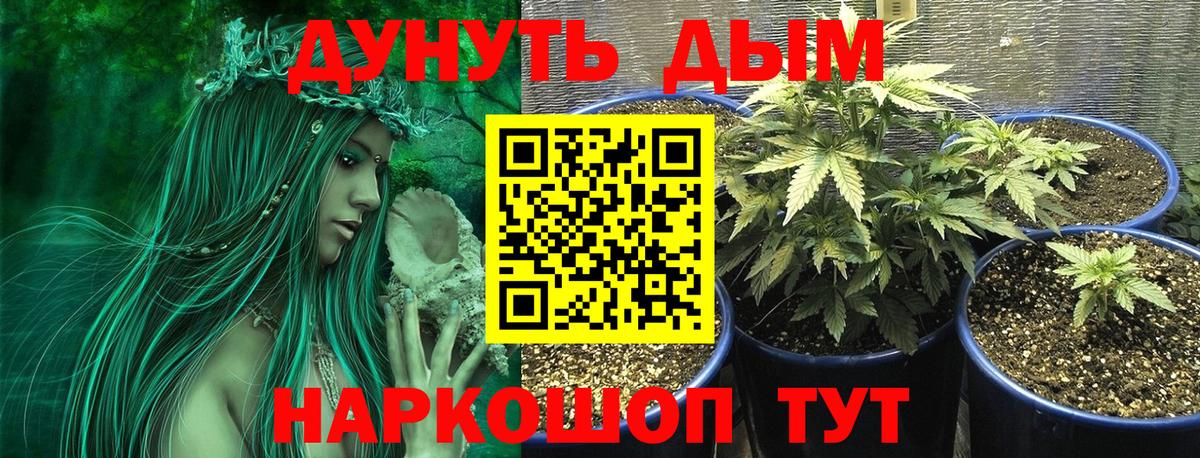 Бошки марихуана Amnesia  Марихуана THC 21%  Вход с VPN  Бутурлиновка 